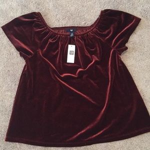 Velvet Top